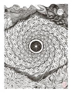 Our DNA is of Earth and Sky